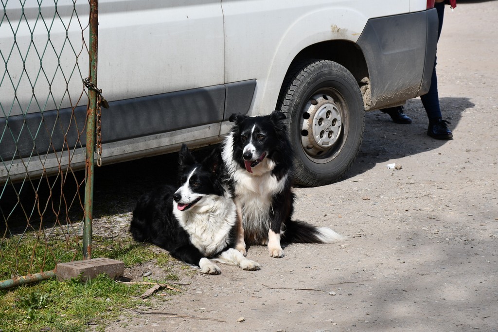 S dolaskom proljeća i toplijih dana živnuo je i čakovečki sajam