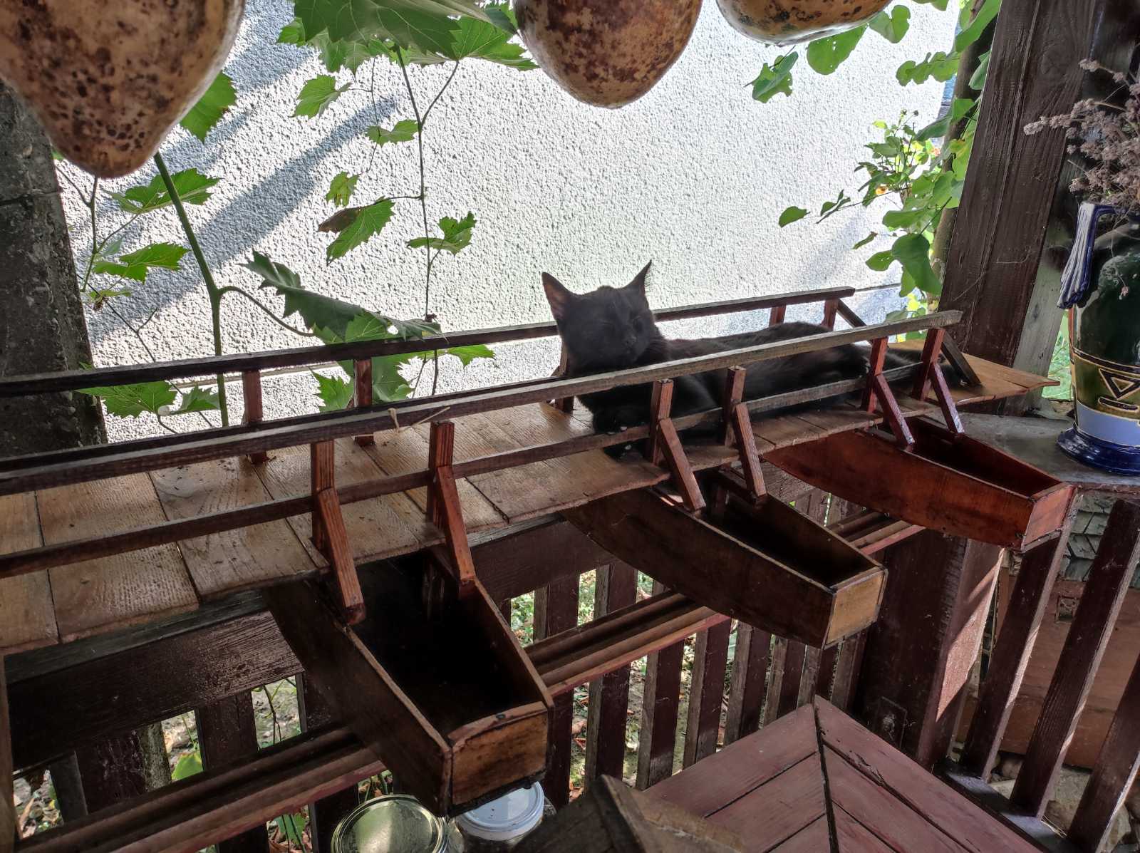 Rudolf Stančin baloni