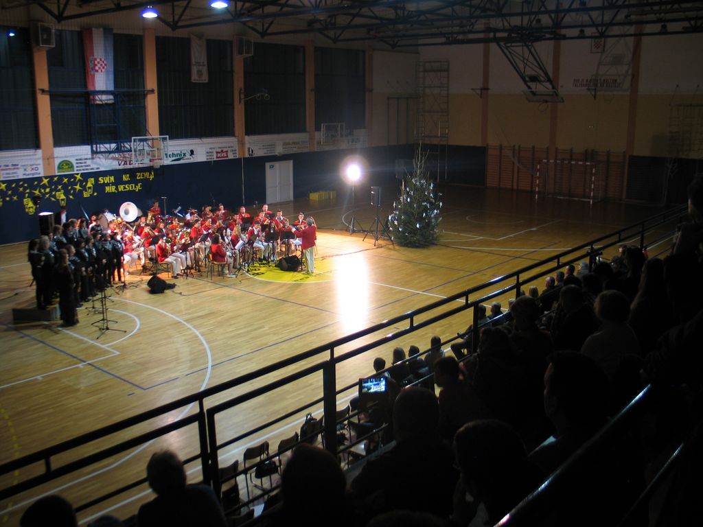 bozicnisajam10756069