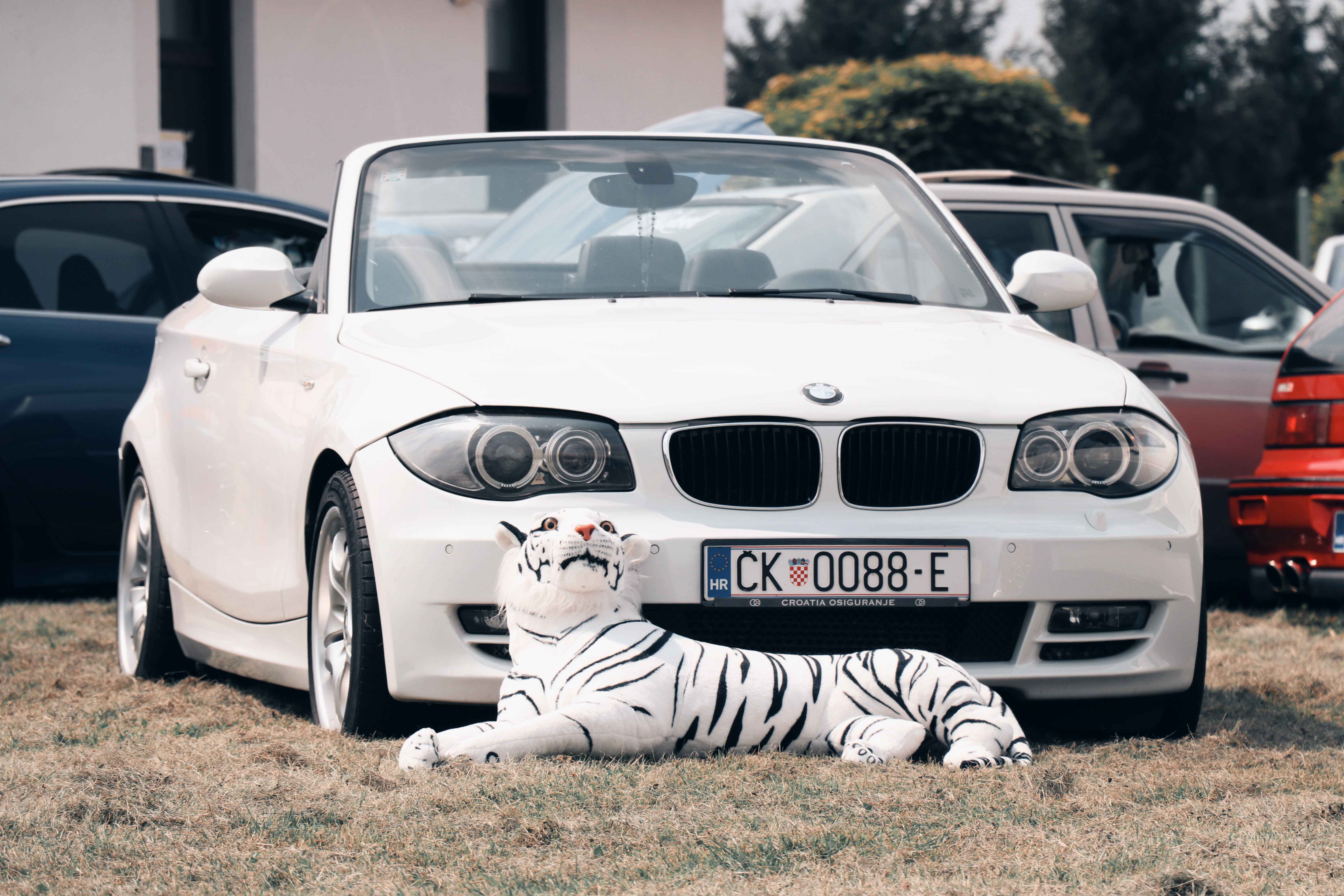 FOTO Mesap: Nedelišće je danas puno trkaćih automobila u sklopu ‘AK The Norh Crew Meet’