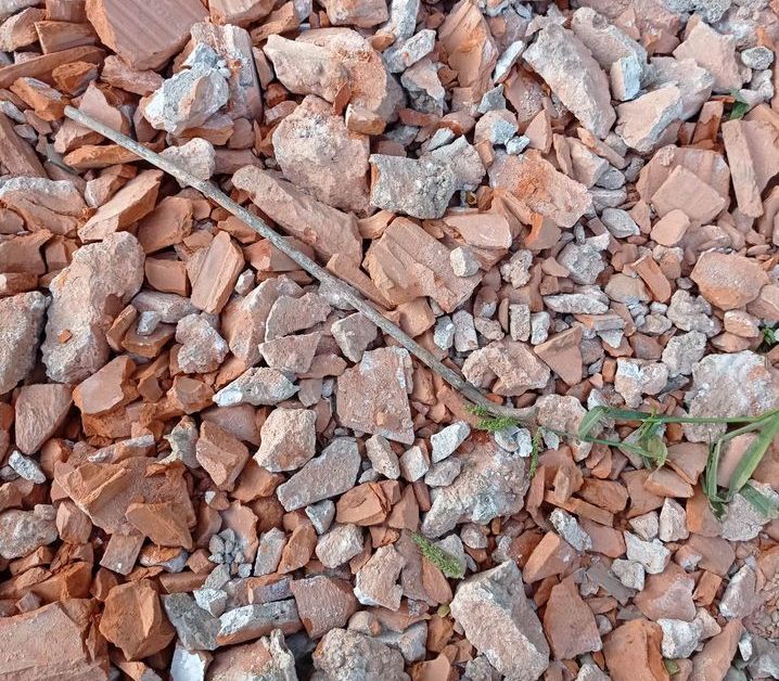 Opasnost na poljskom putu kod Novog Sela Rok