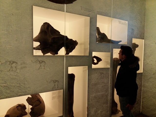 20180215095204409769