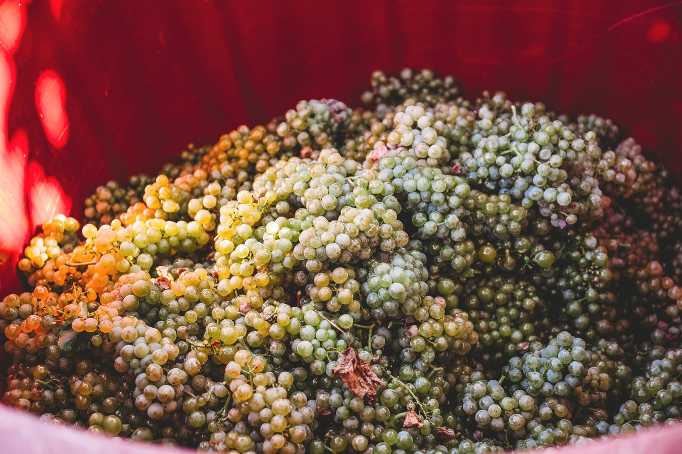 HUMANO I VESELO Radio gorice za Katružu – humanitarna akcija za bolesne Međimurce