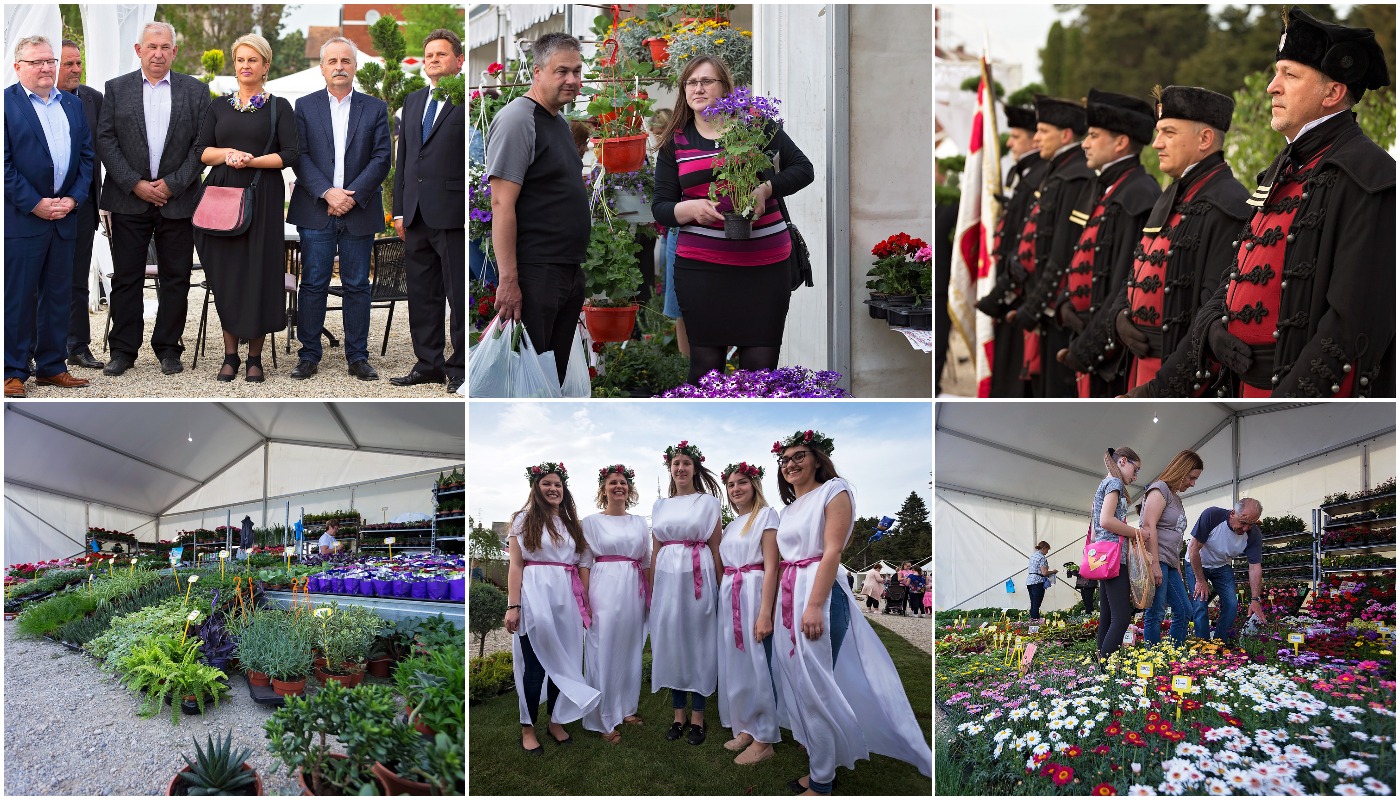 Prvi dan Sajma cvijeća u Prelogu