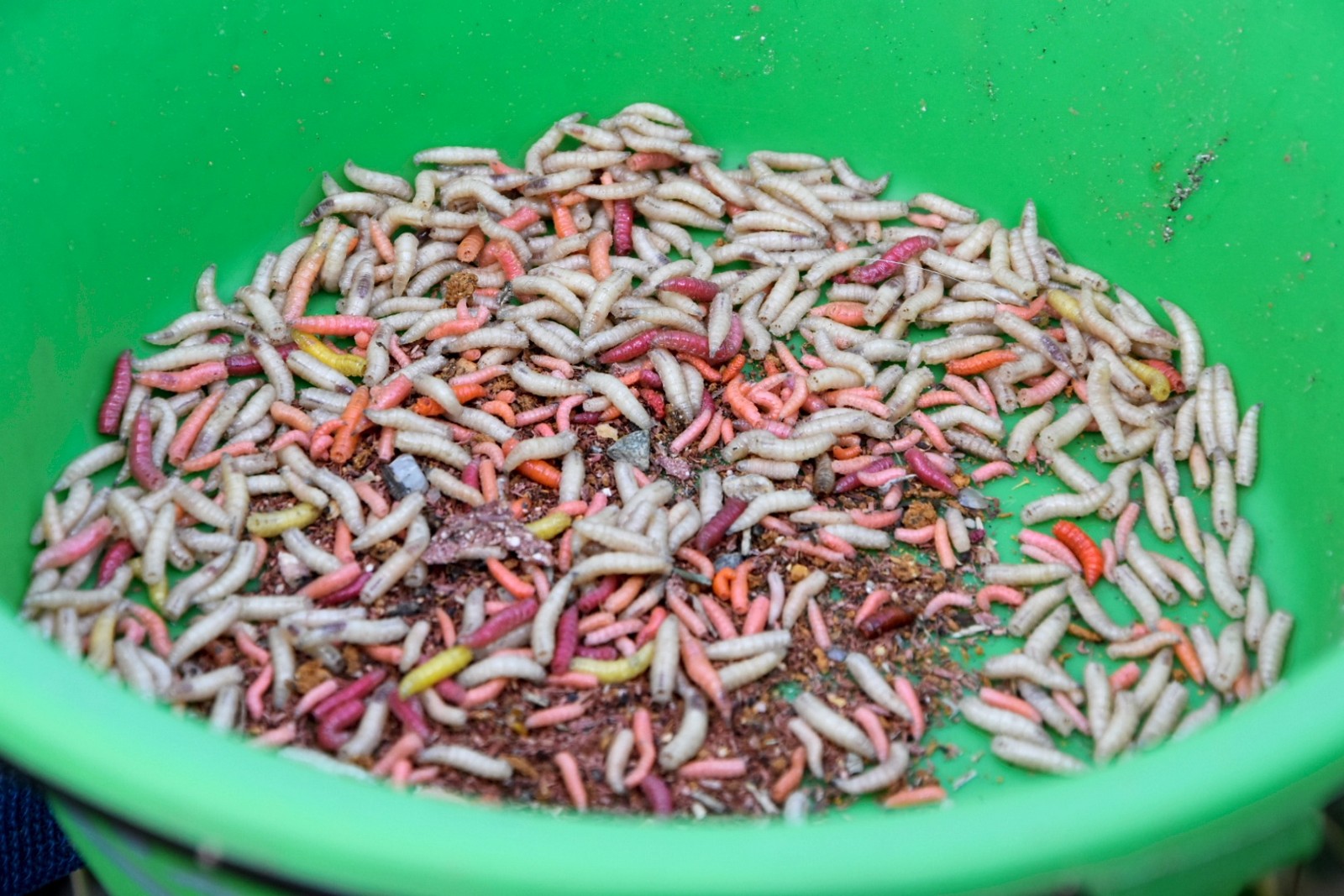 FOTO Na društvenom natjecanju u ribolovu pobijedio Tomislav Filipović s 2,86 kilograma ribe