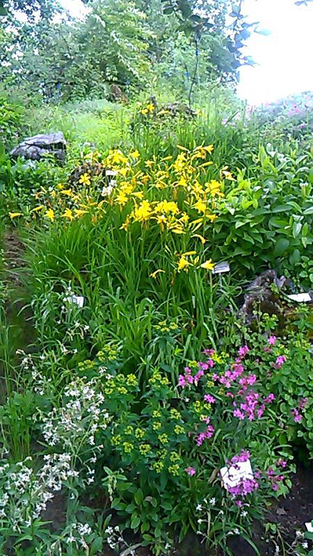 89a2516a723d4ce8d15f261d22a10a1