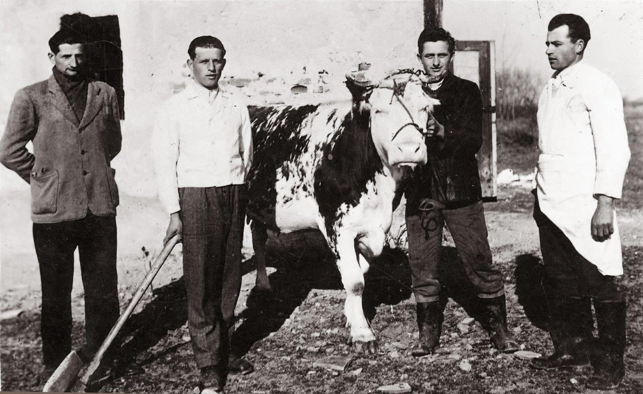 Fotografije donjodubravske prošlosti