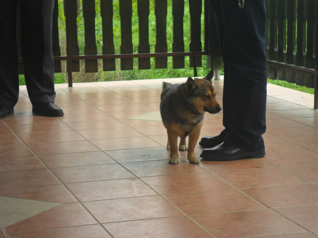 fotografija00014442130