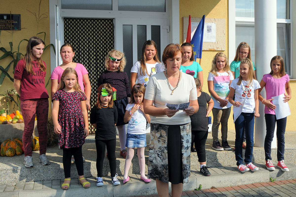 25319821wdsc3298316682