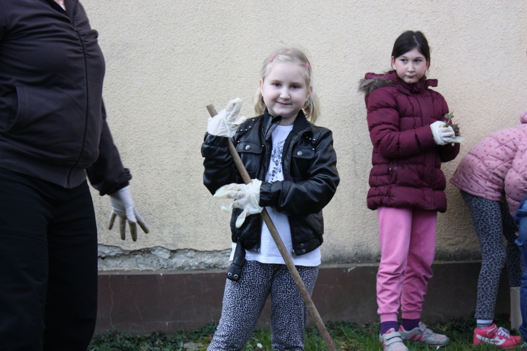 img4204resizekopija967660