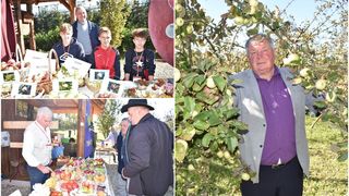 U VOĆNJAKU UDRUGE VOĆARA, VINOGRADARA I POVRĆARA Starinska jabuka sve izdrži