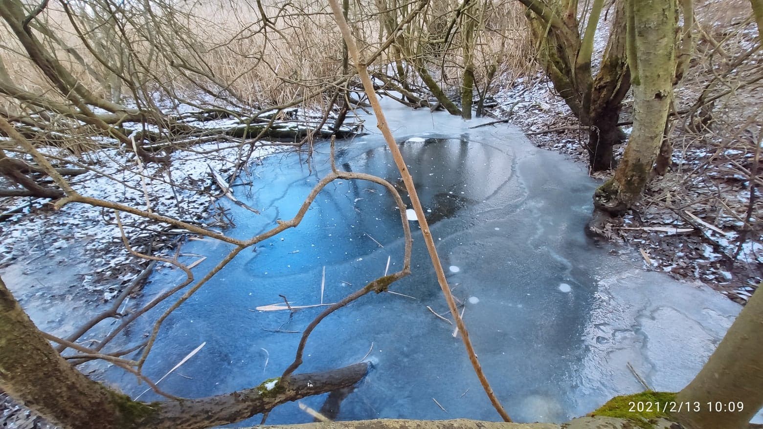 Zvonimir Habuš iz Kotoribe očarava fotografijama netaknute prirode