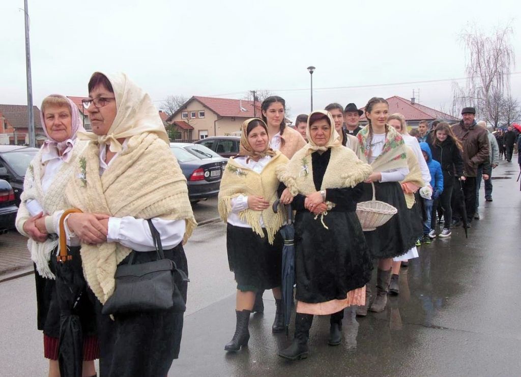 335914382img2379optimized953179