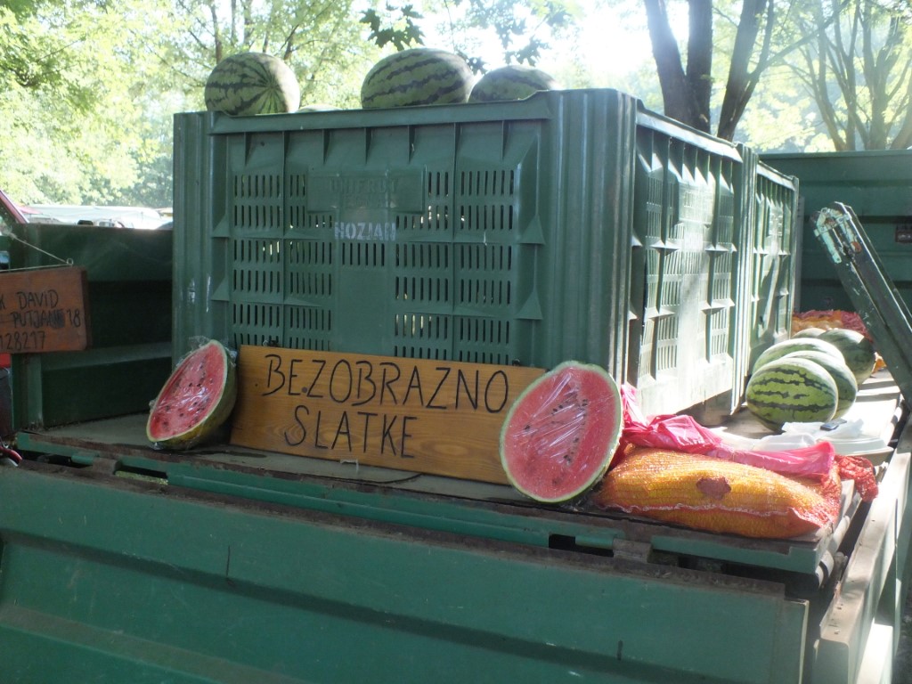 Image 5810915 (auto)