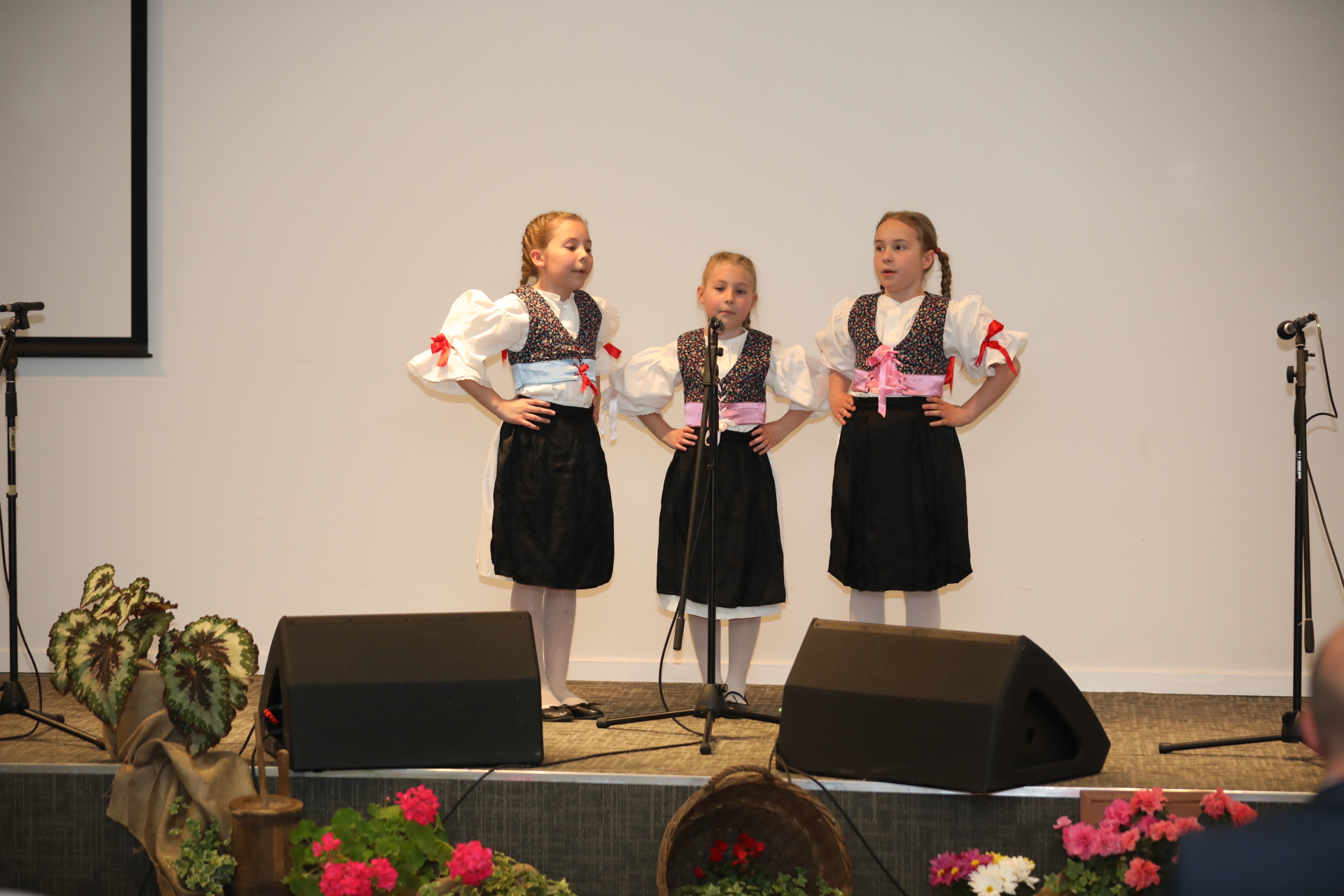 12. Dječja smotra međimurskih popevki u Svetom Martinu na Muri