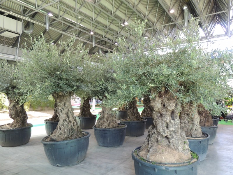 3f71557a445d63ccb163e335eb5a939