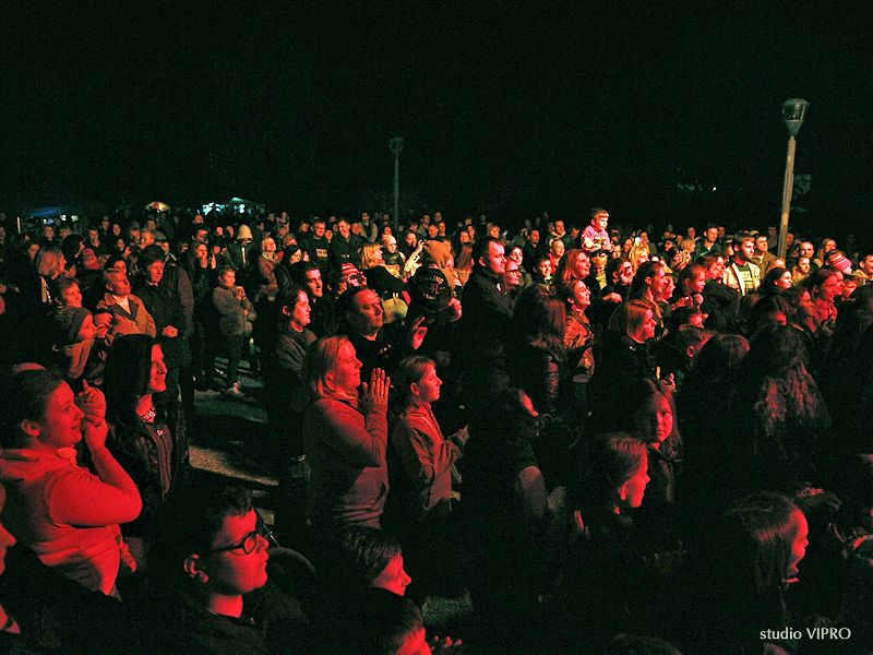 347715094dsc9519498878