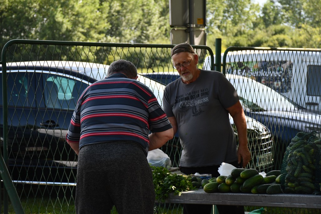 SAJAM U ČAKOVCU Sajam je preplavilo obilje svježeg voća i povrća