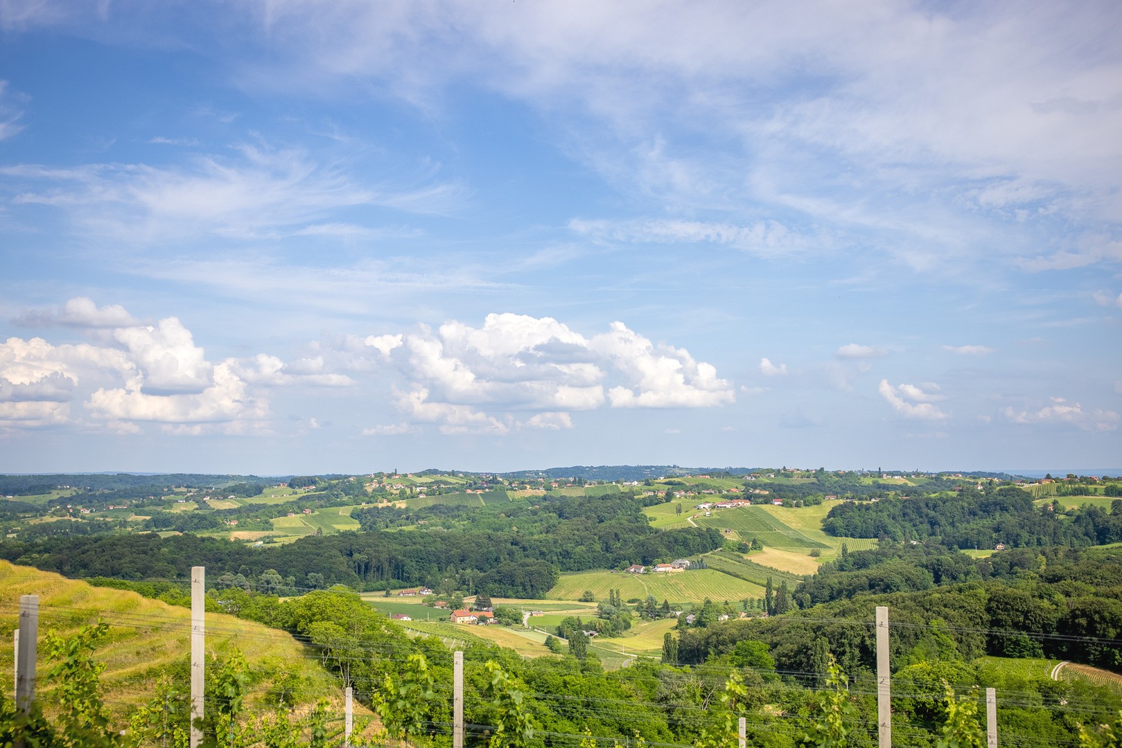 Štampar i Međimurje proslavili trijumf s Decantera