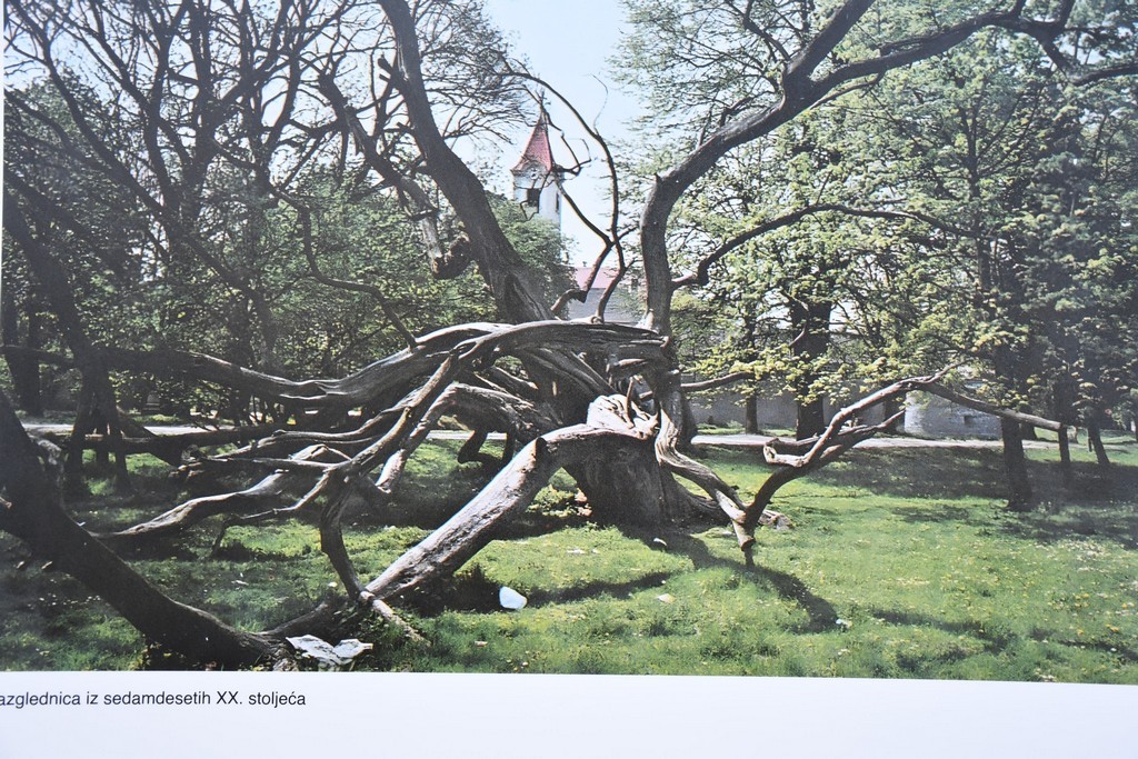 Sto godina Perivoja Zrinskih