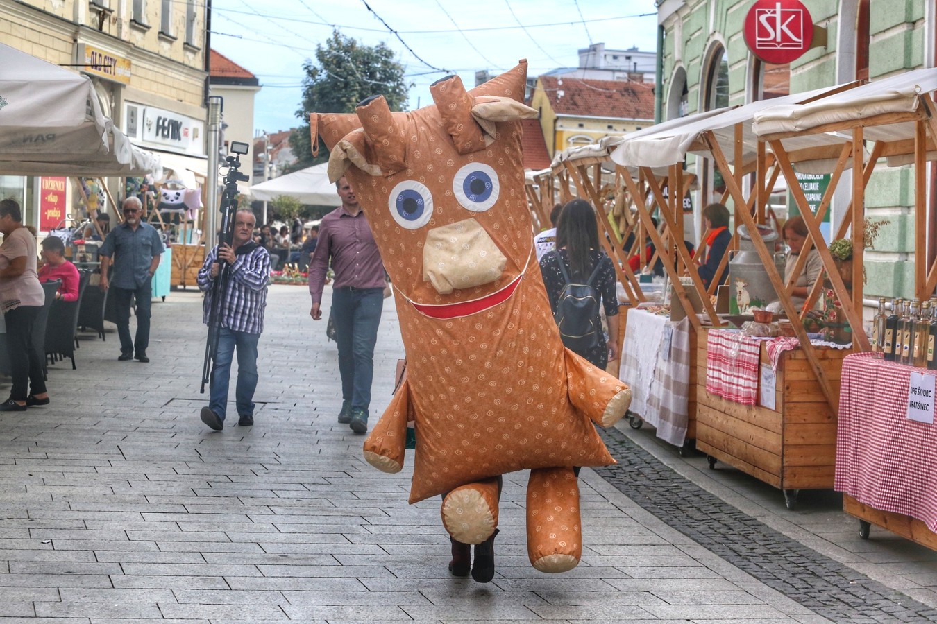 JESEN U GRADU ZRINSKIH Čakovec ‘obukao’ predivno jesensko ruho