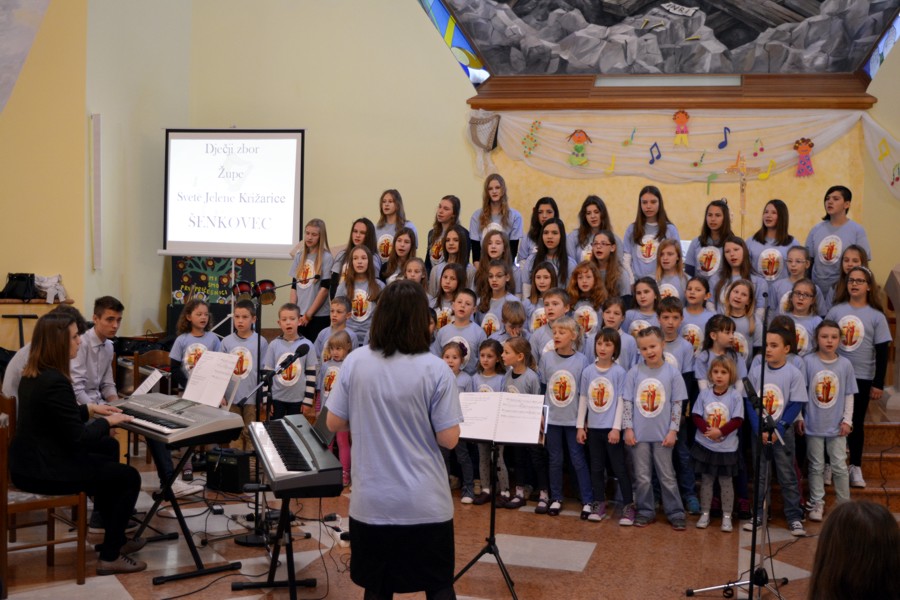harfa20155senkovec521776