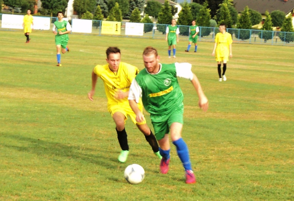 dsc02048249534