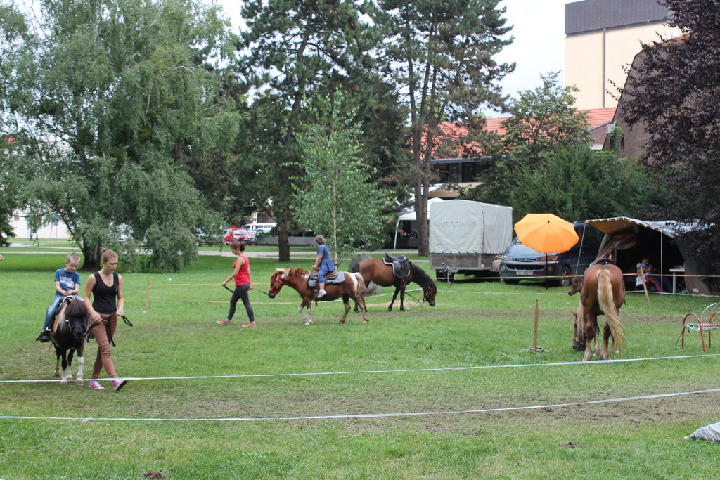 slika00002336503 FOTO: Pogledajte današnju atmosferu na Porcijukulovom! 1.8.2014.