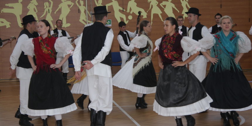 dvoranabelica dvoranabelica