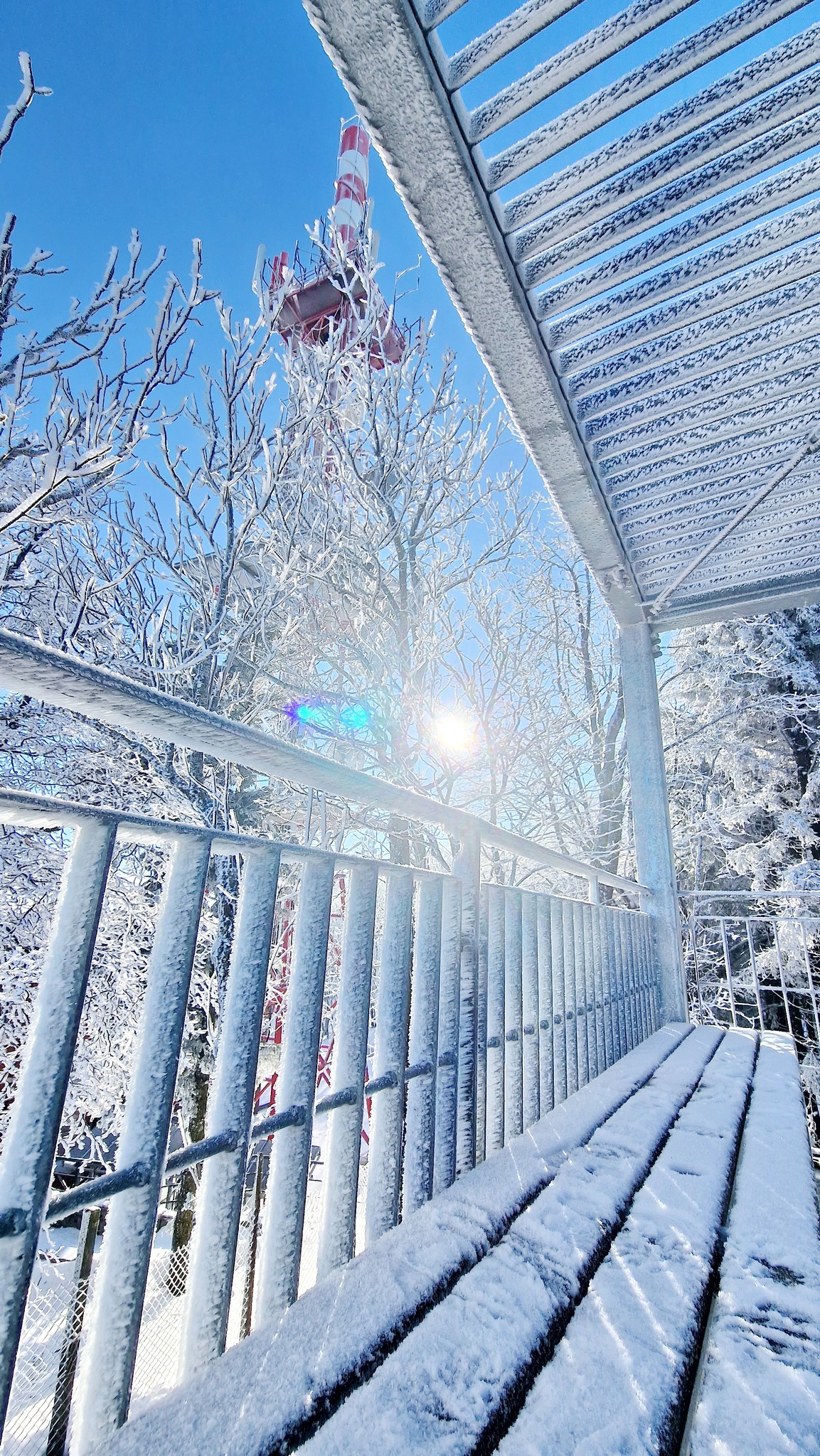 Image 5565705 (auto)