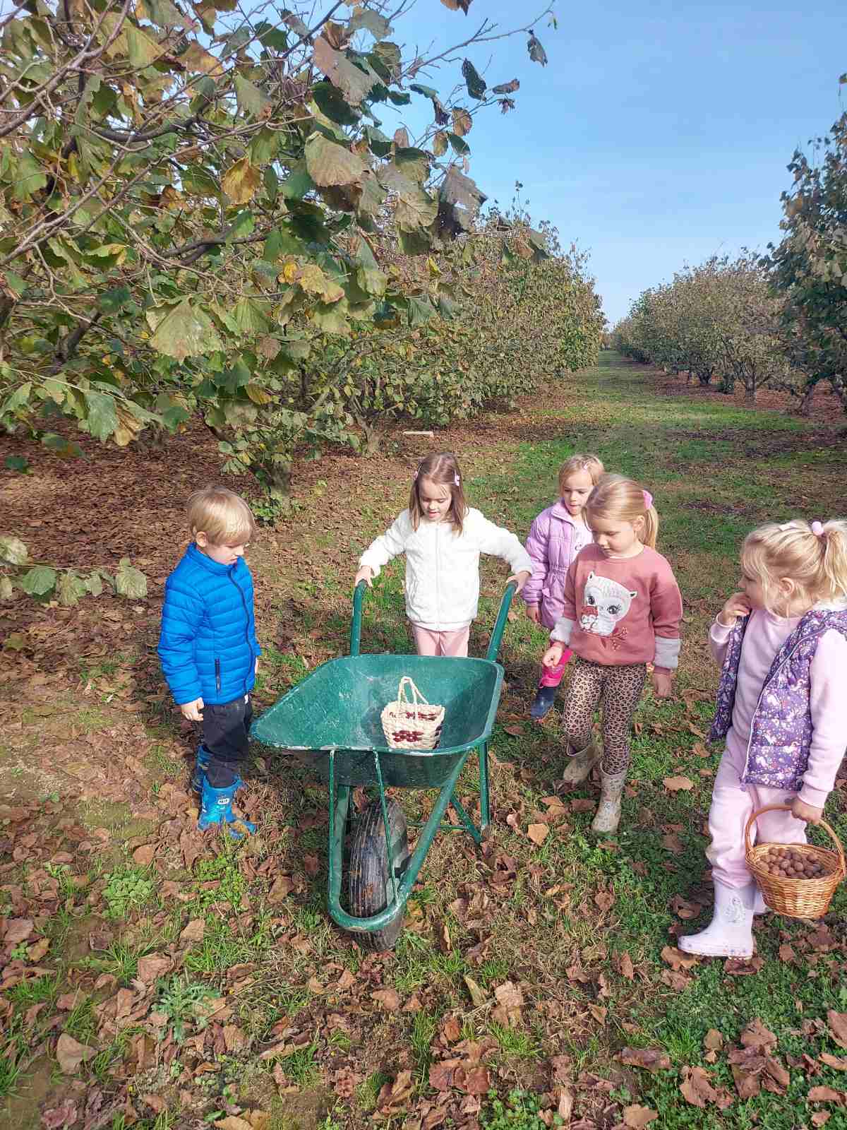 ‘Suncokreti’ iz čakovečkog vrtića Cvrčak posjetili lješnjikovac obitelji Sarač
