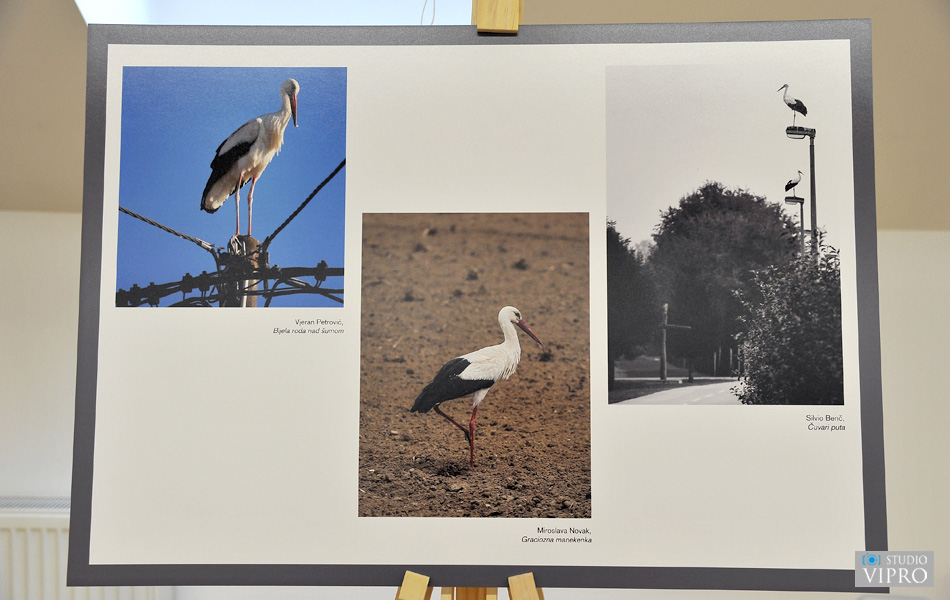 U Prelogu održano predavanje i otvorena izložba o bijeloj rodi