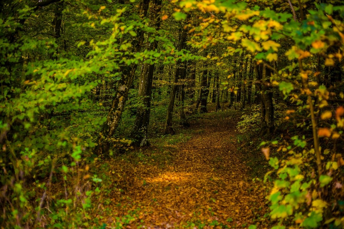 Jesenska rapsodija kroz objektiv Miroslave Novak