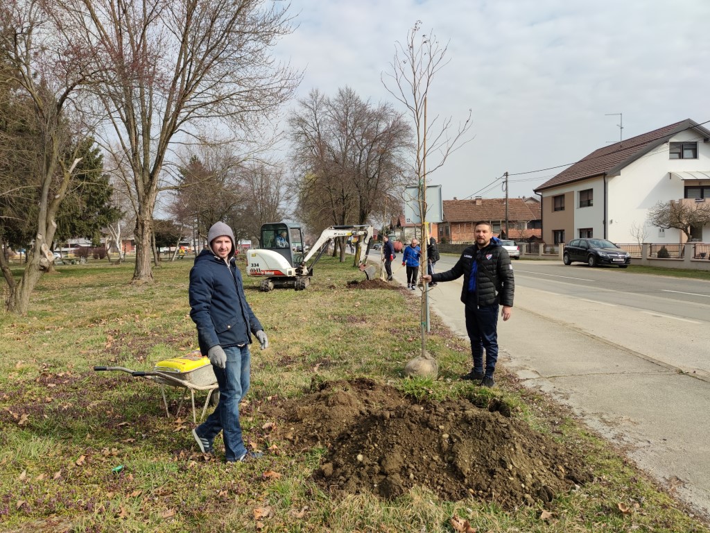Belica, sadnja parka 2022