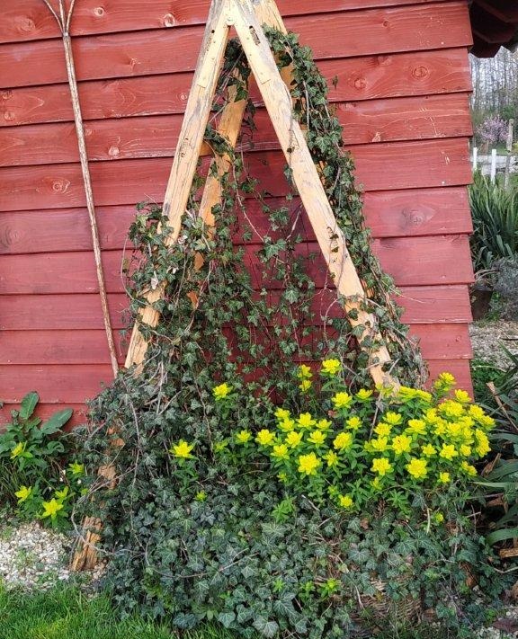 Biljno carstvo Vanje i Alena u Šenkovcu: Njihov vrt ‘Četiri godišnja doba’ mami poglede