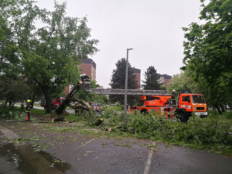 U Čakovcu se srušilo stablo