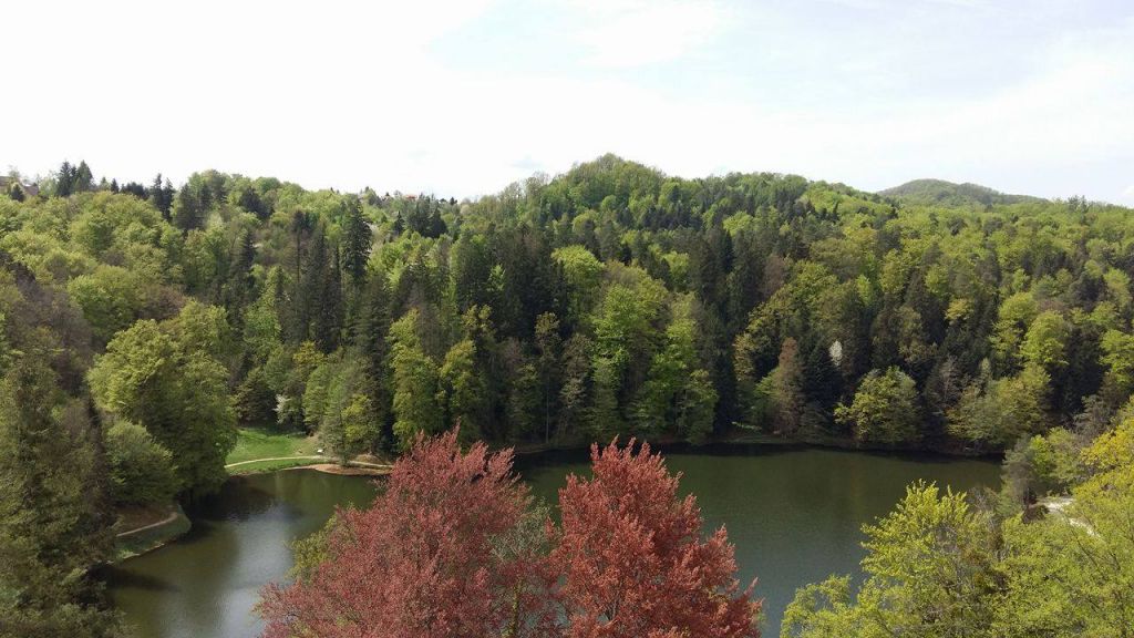 1299952799759652697652411735177