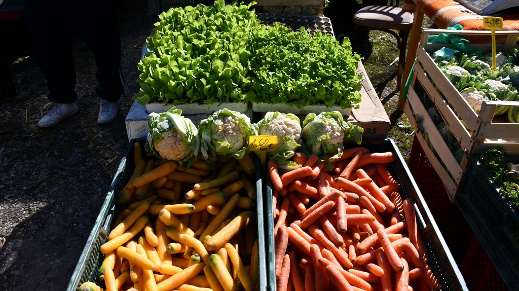 Proljetne temperature izmamile brojne posjetitelje na sajam u Čakovcu