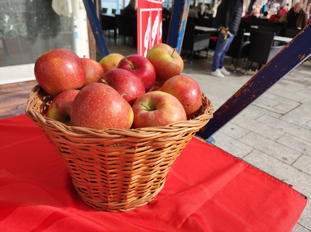FORUM SENIORA SDP-A Osobe treće životne dobi ne smiju biti marginalizirane, izolirane i zaboravljene!