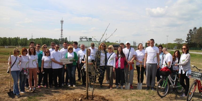 img3215269598 img3215269598