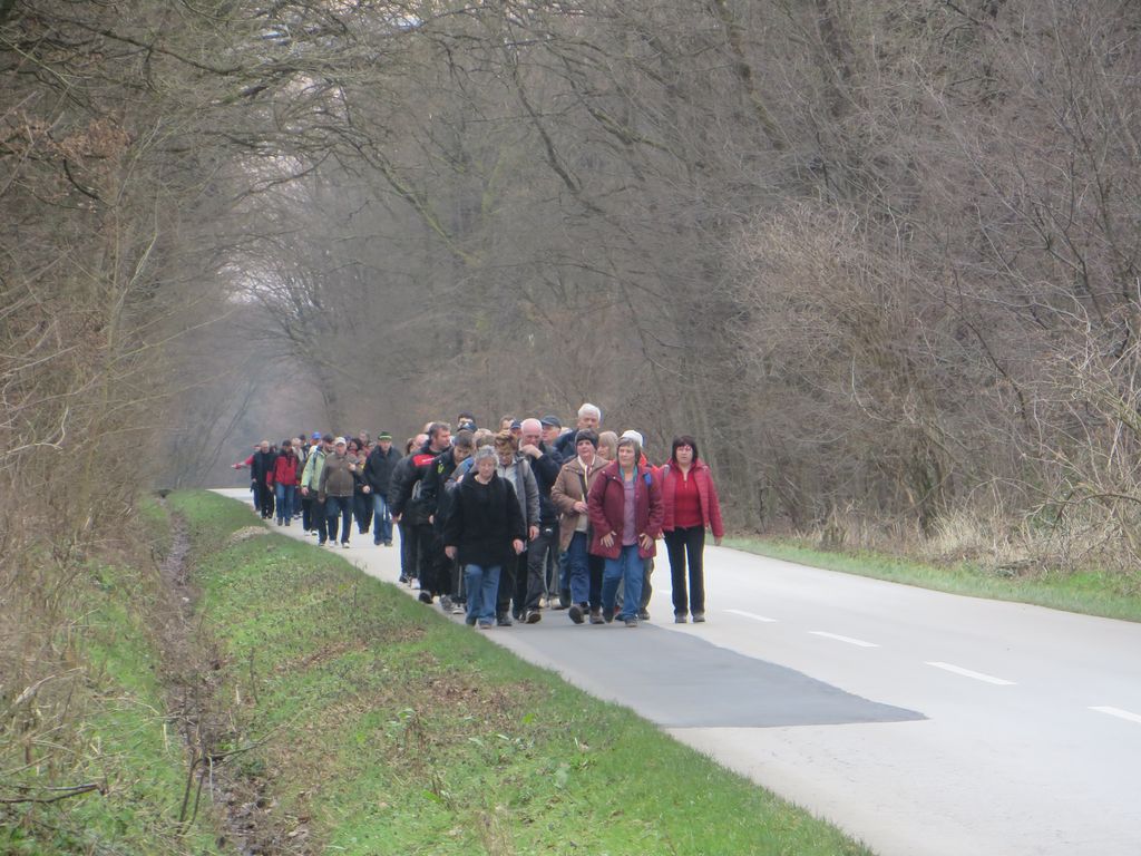 vincekovpohod7846190