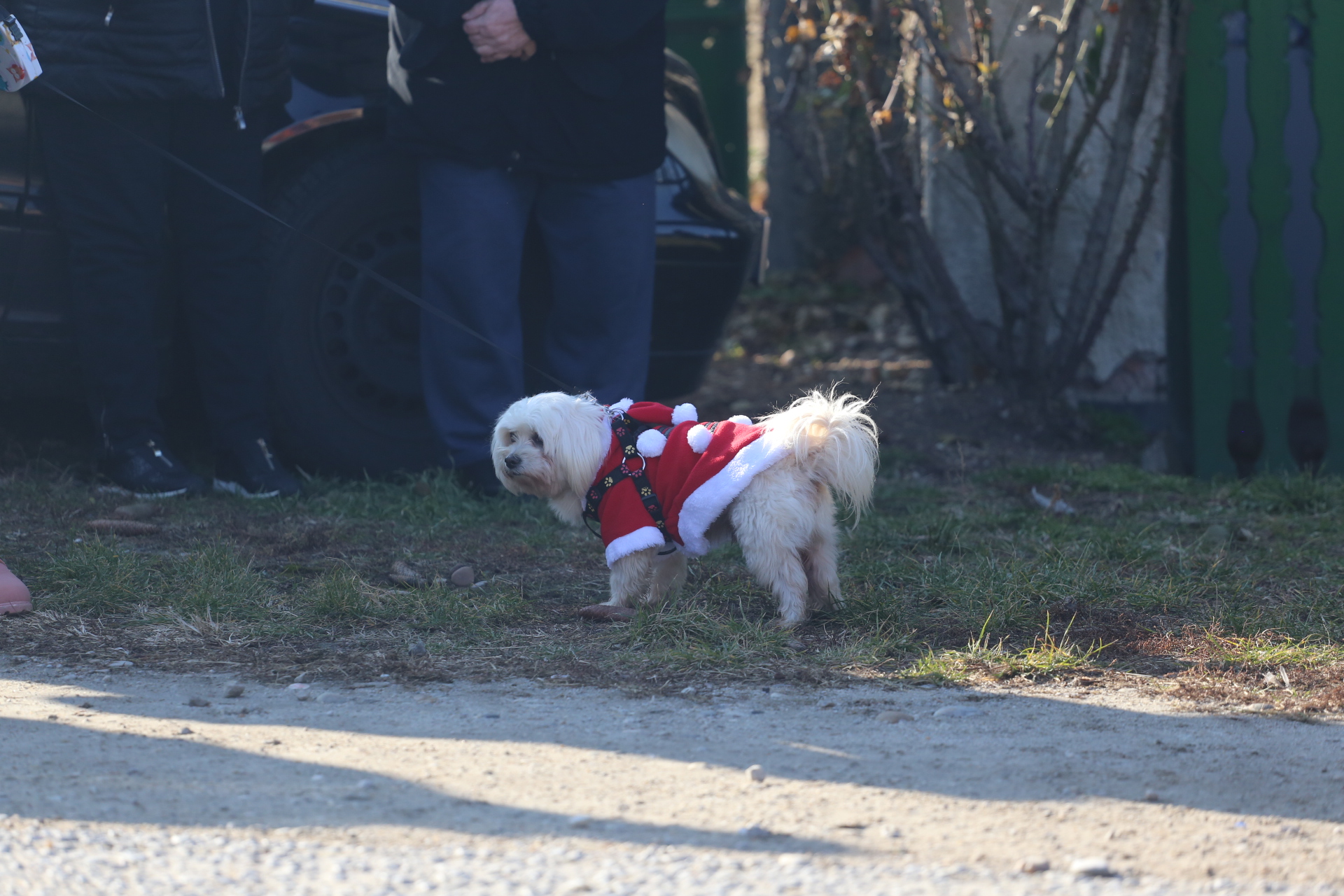 Krenula sezona maškara u Međimurju – Podturenski fašnik prvi na redu