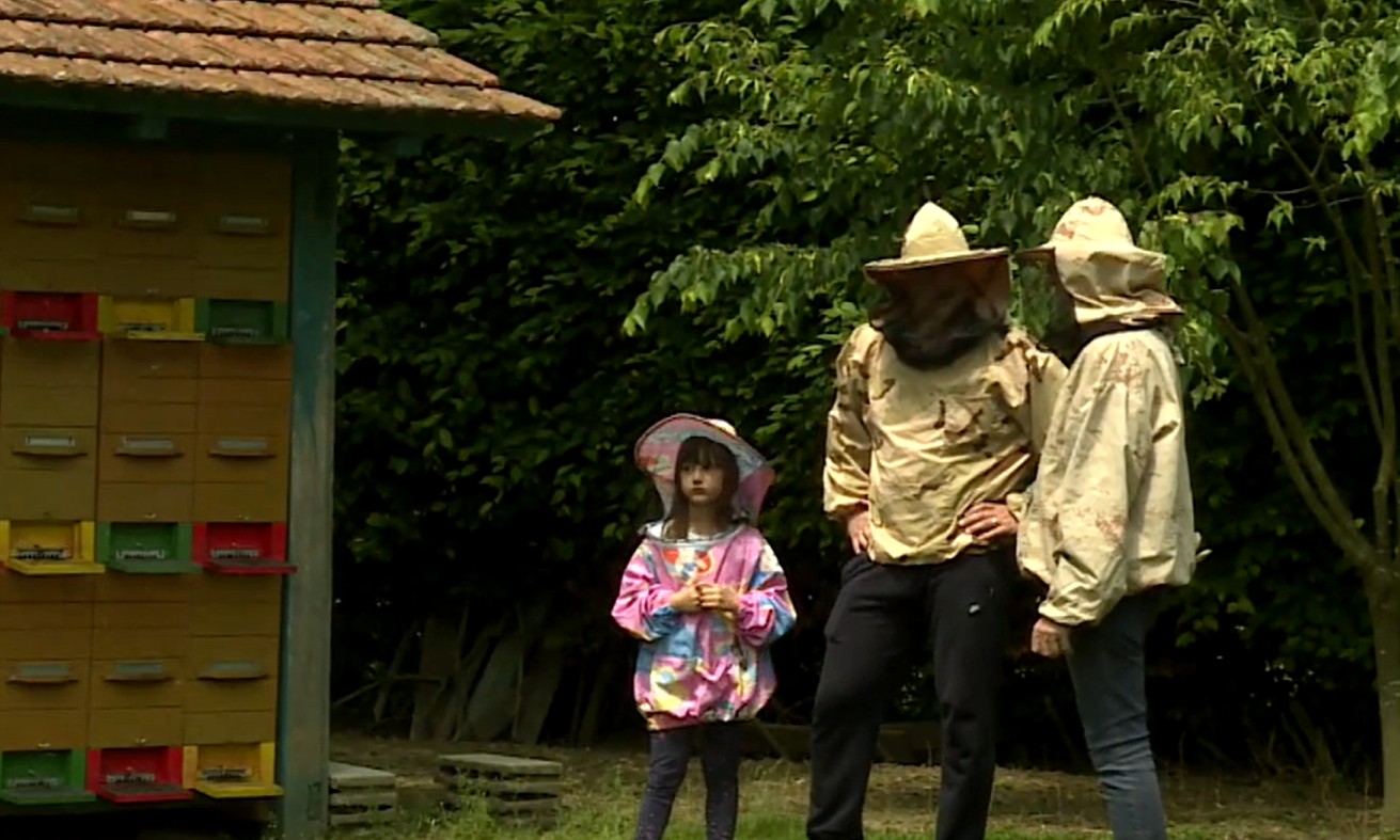 Međimurski pčelari