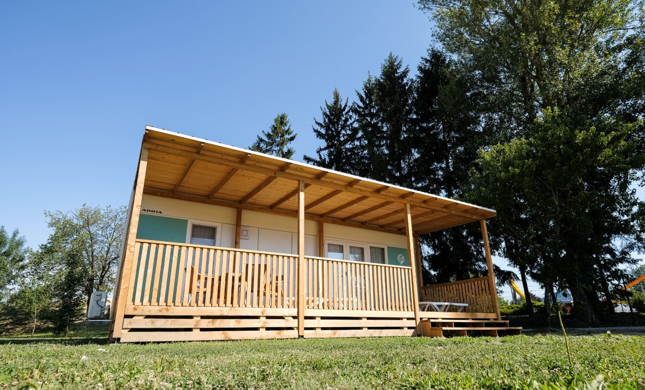 Image 5773907 (auto)