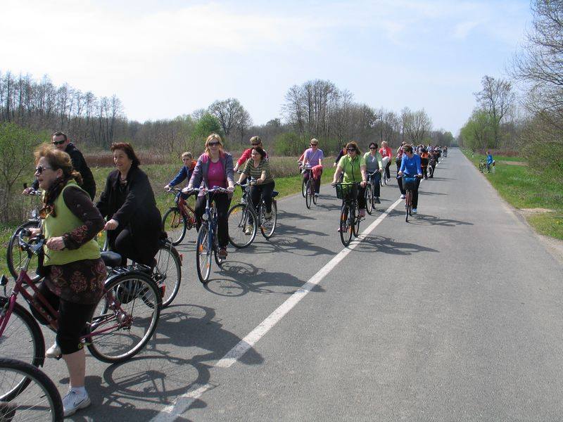 1271788710204634842590077794388