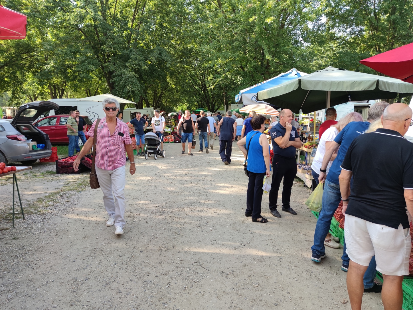 Image 5810833 (auto)