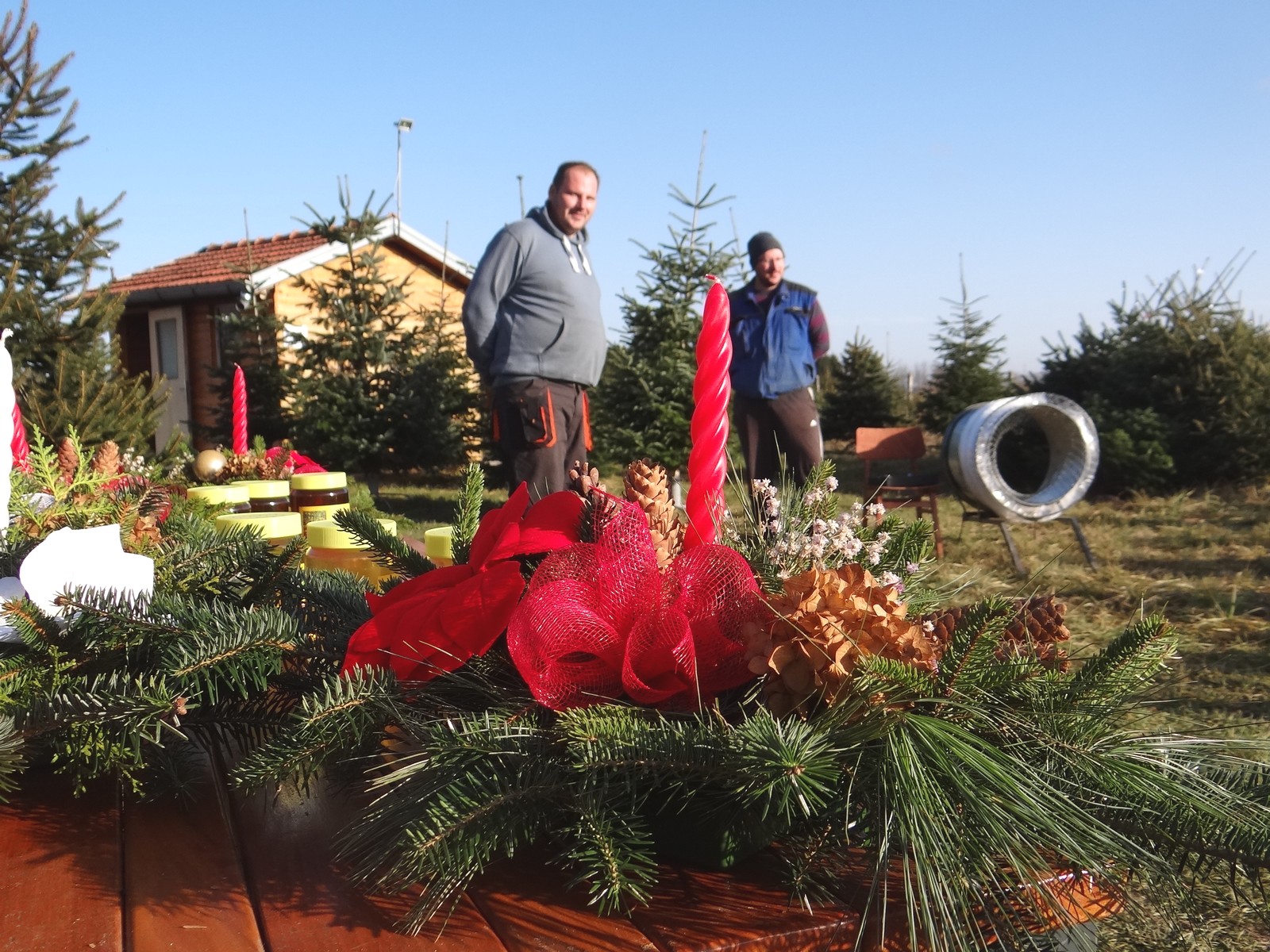 Provjerili smo cijene božićnih drvaca u Međimurju: Ponuda iz godine u godinu sve bogatija Provjerili smo cijene božićnih drvaca u Međimurju: Ponuda iz godine u godinu sve bogatija