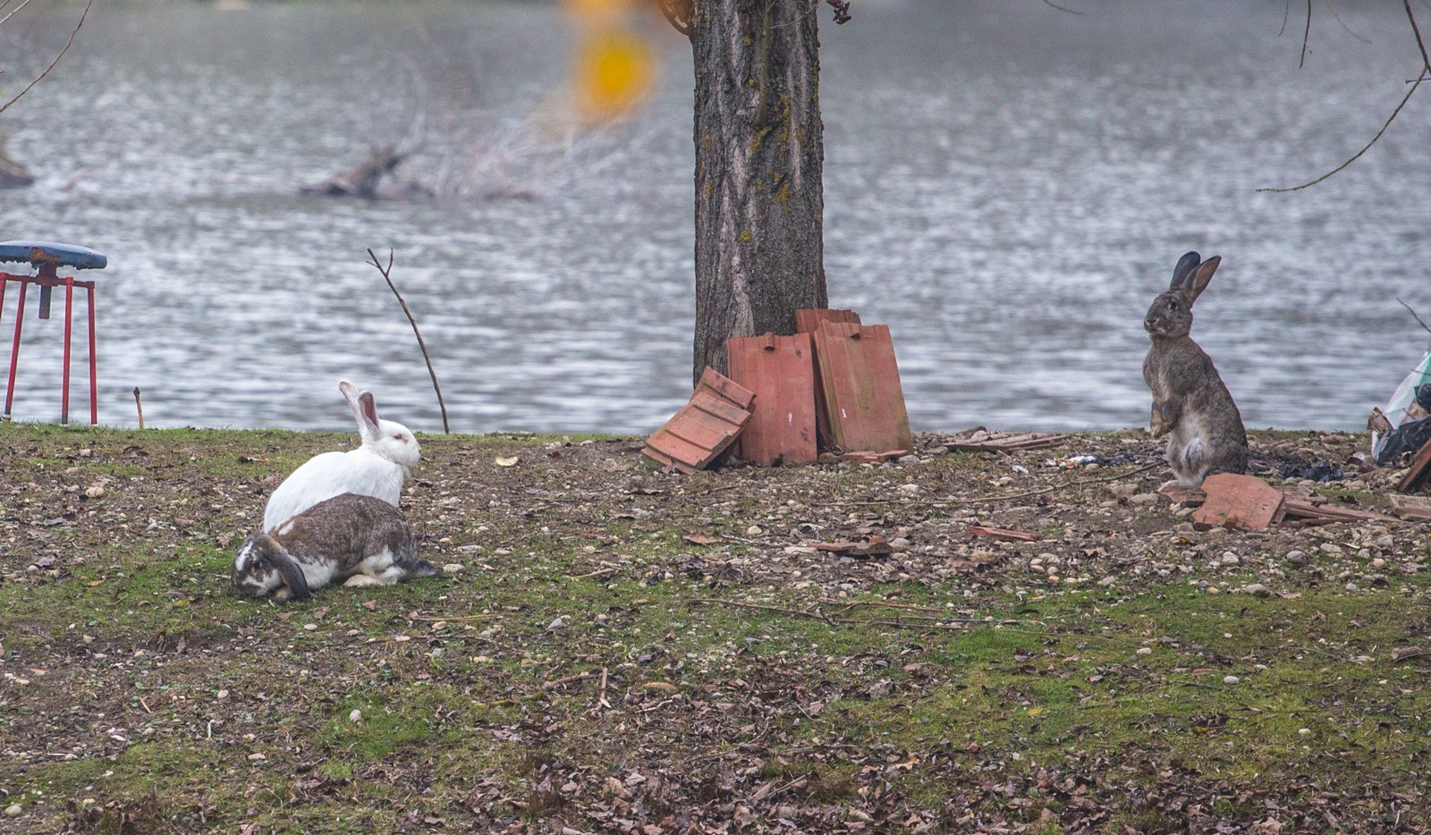 Međimurje se predalo jeseni