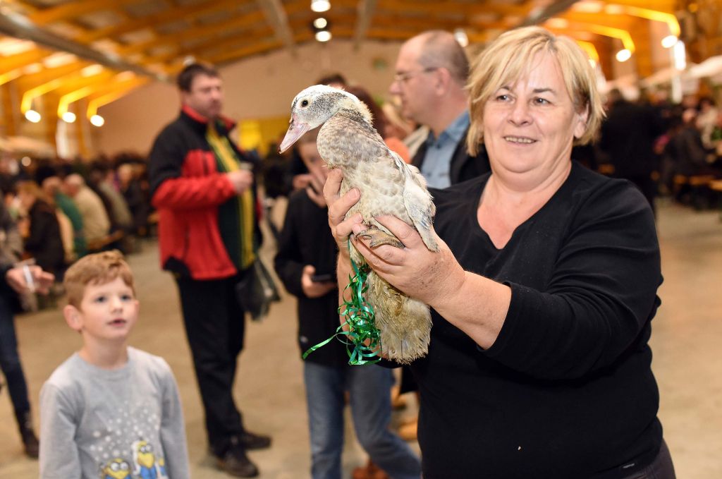 martinje201625662845