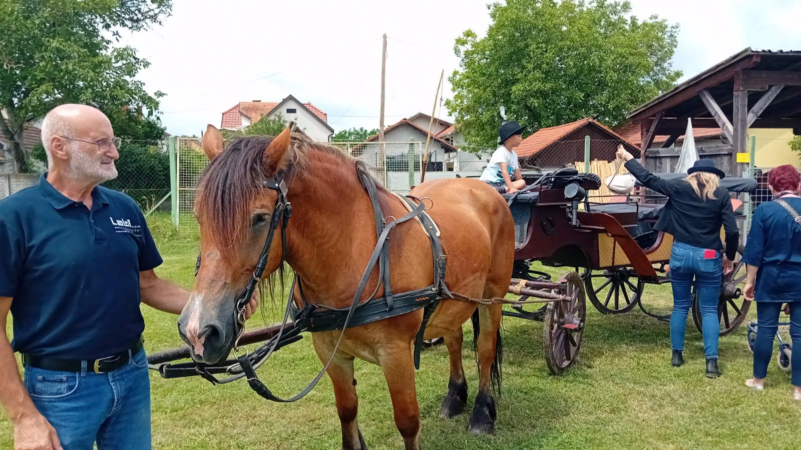 PREKRASNI SU Izložba međimurskog konja u Nedelišću